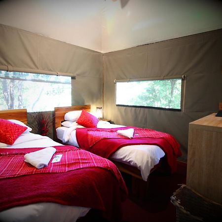 Mali Boutique Lodge & Tube 'N Axe Budget Accommodation ستورمزريفير الغرفة الصورة