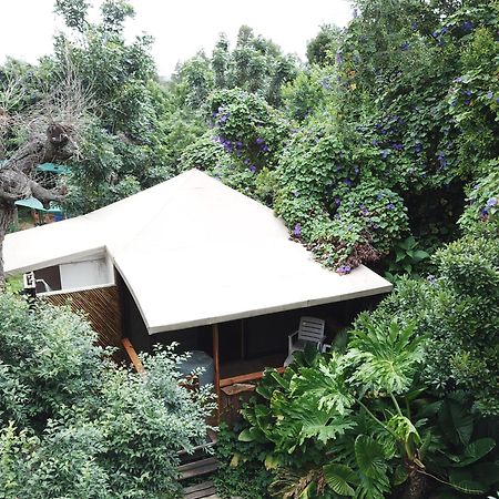 Mali Boutique Lodge & Tube 'N Axe Budget Accommodation ستورمزريفير الغرفة الصورة