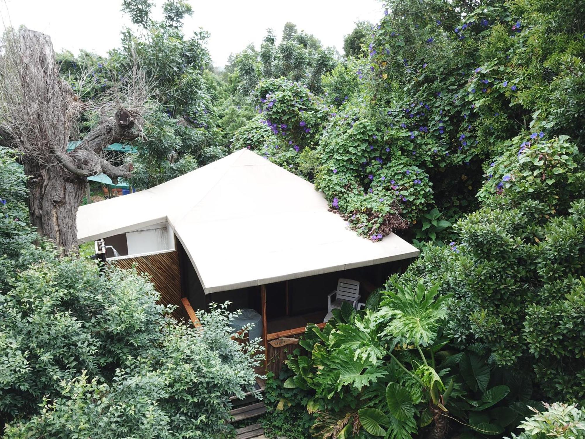 Mali Boutique Lodge & Tube 'N Axe Budget Accommodation ستورمزريفير الغرفة الصورة