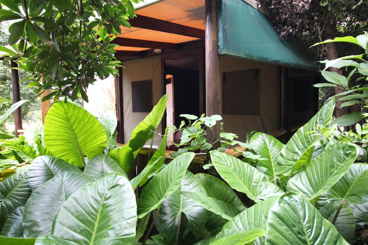 Mali Boutique Lodge & Tube 'N Axe Budget Accommodation ستورمزريفير المظهر الخارجي الصورة